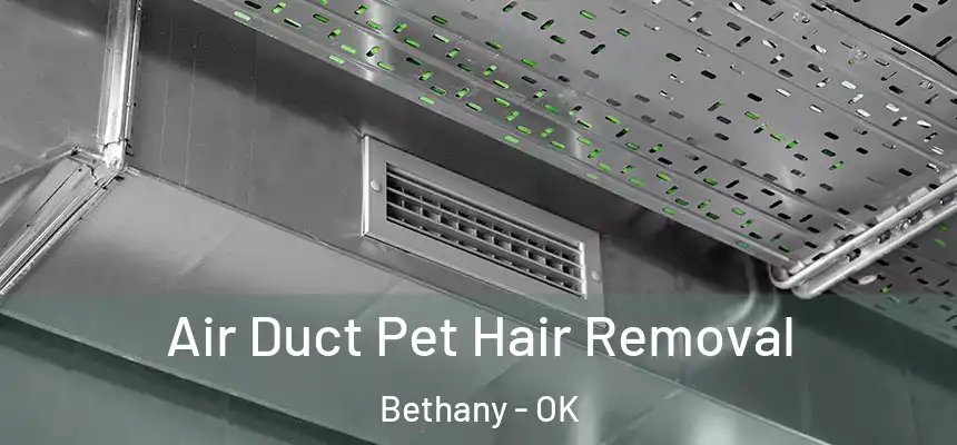  Air Duct Pet Hair Removal Bethany - OK