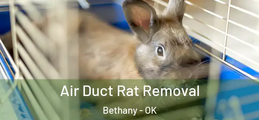  Air Duct Rat Removal Bethany - OK