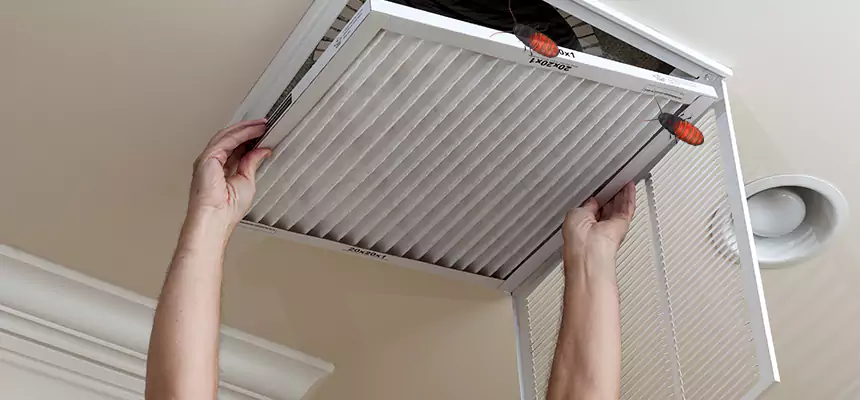 Preventive Cockroach-Proofing for Ducts in Bethany