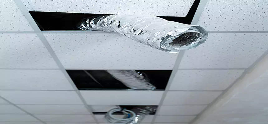 Affordable HVAC Sanitizing After Pest Removal in Bethany