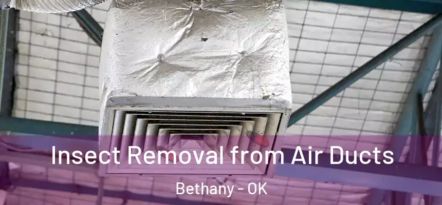  Insect Removal from Air Ducts Bethany - OK