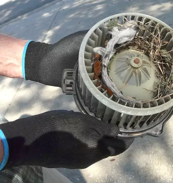 About Air Duct Mice Removal in Bethany, OK