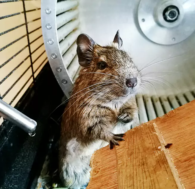 Why Homeowners & Businesses Trust Us Bethany, OK?